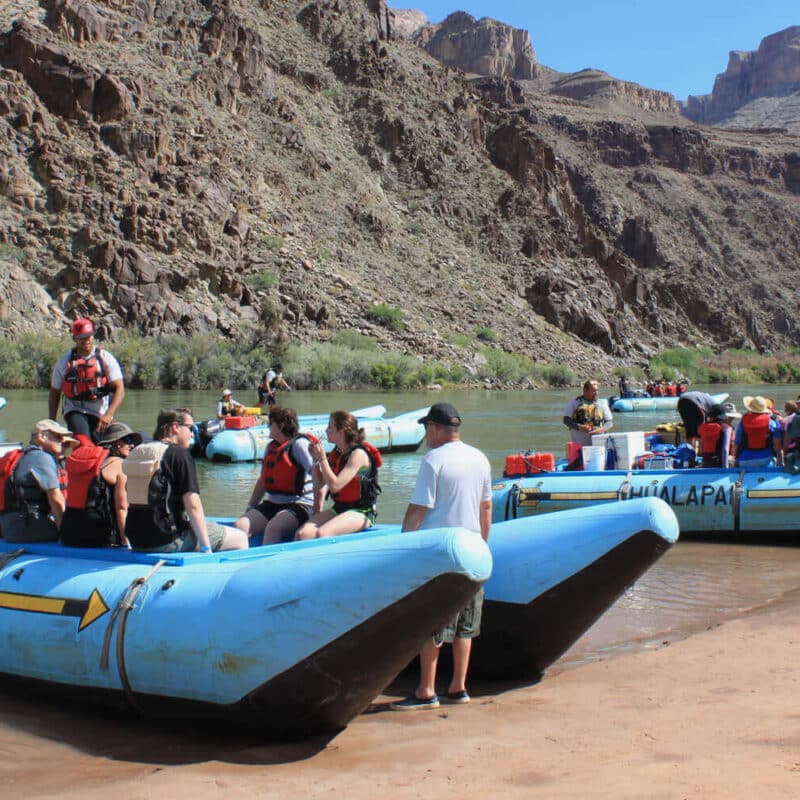 Several blue rafts are beached on a sandy shore next to a river, with people standing around and in them.