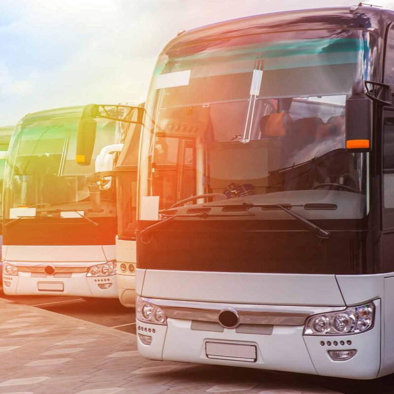Line of parked tour buses under a sunny sky with lens flare.