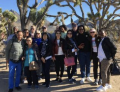 Guided Tours